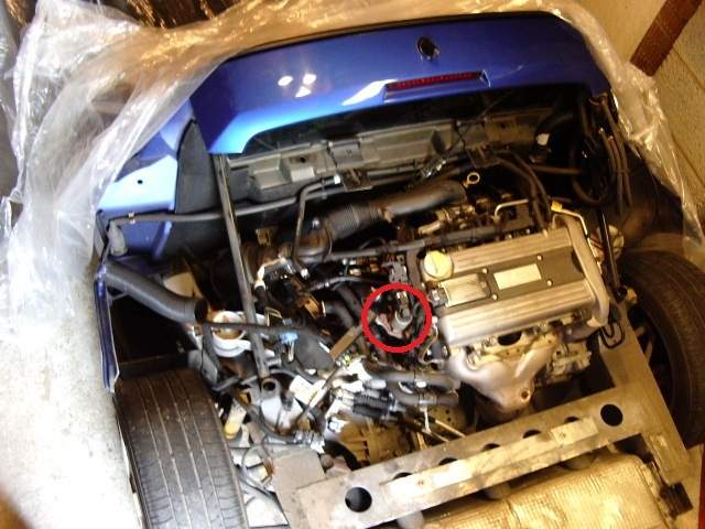 IMGP0916.jpg